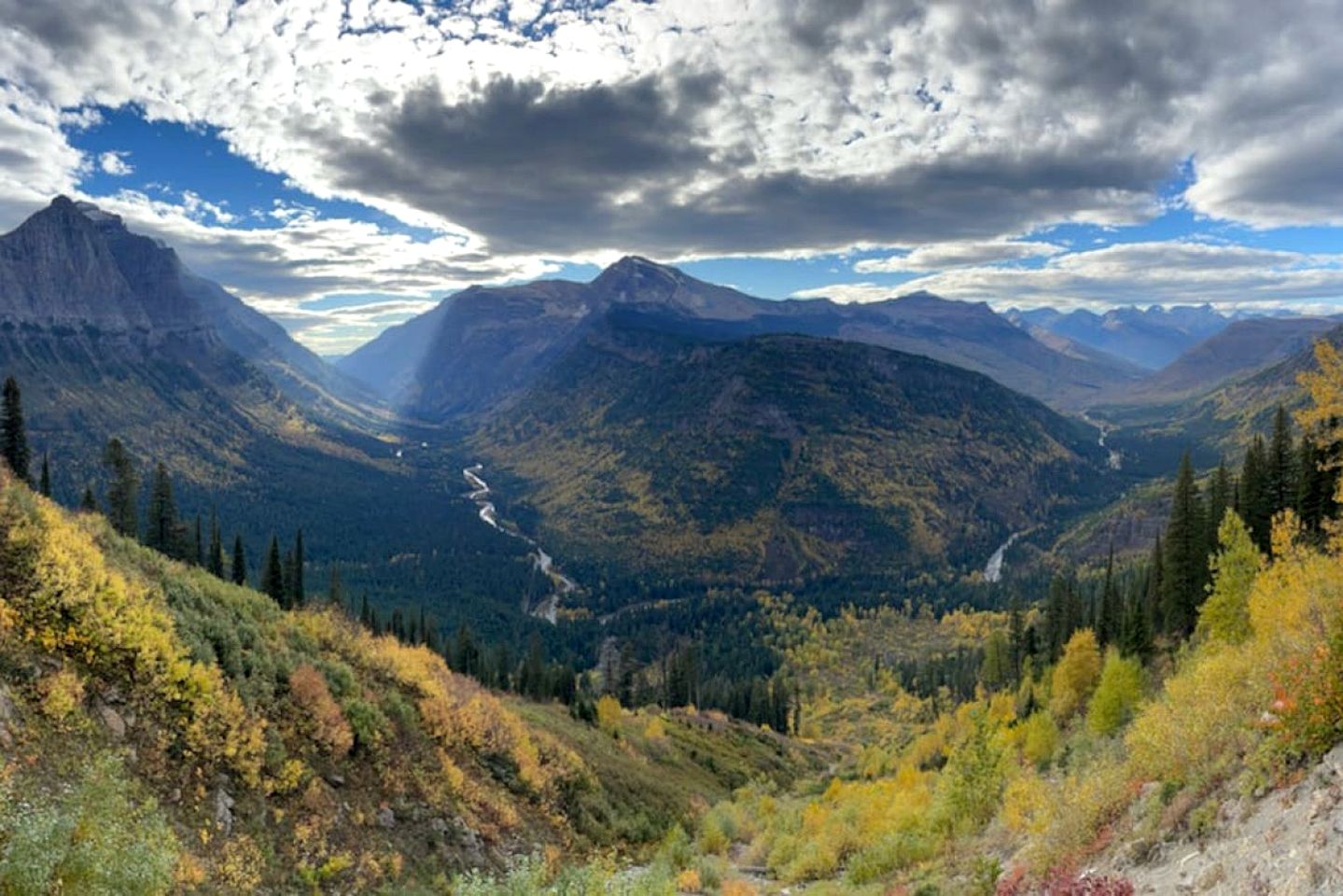 Heavenly Cabin Nestled Among the Towering Trees in Montana