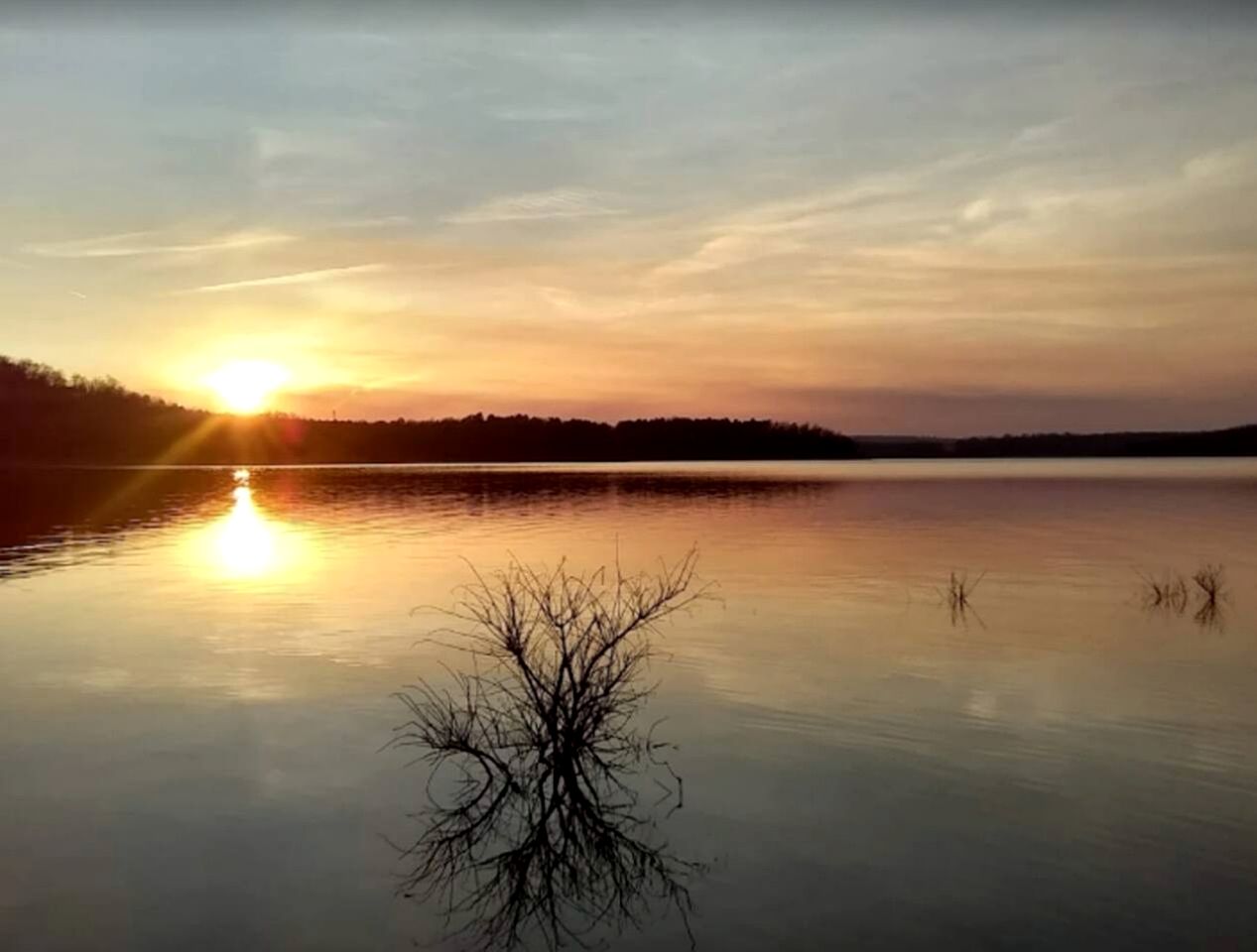 Charming Tiny Home Retreat Near Forest Trails & River Access in Calico Rock, Arkansas