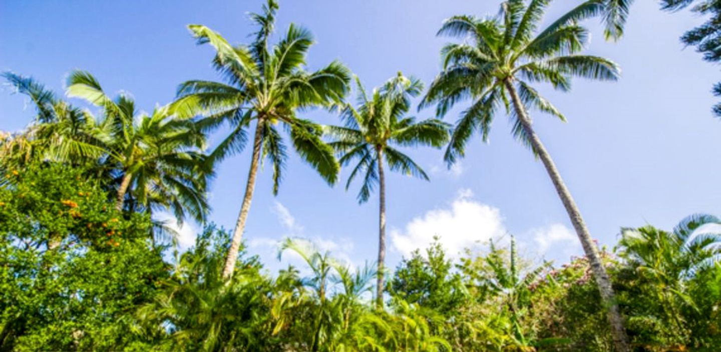 Beachside Getaway on Hanalei Bay the Island of Kuaui, Hawaii