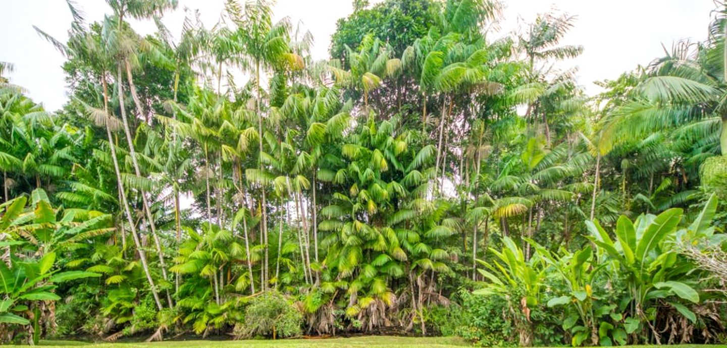 Idyllic Cottage Rental near Napali Coast in Hanalei, Hawaii