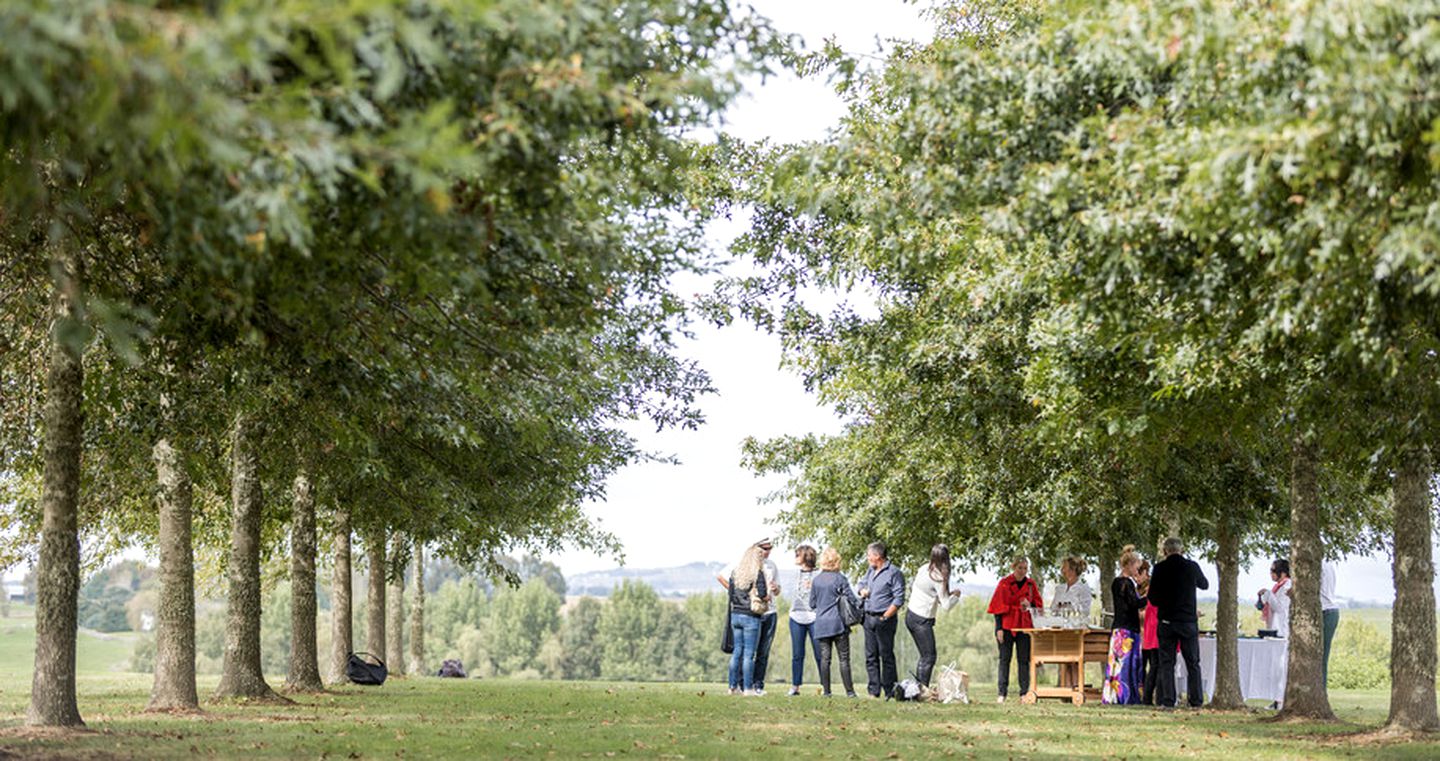Incredible Luxury Retreat for Ultimate Indulgence near Auckland, North Island