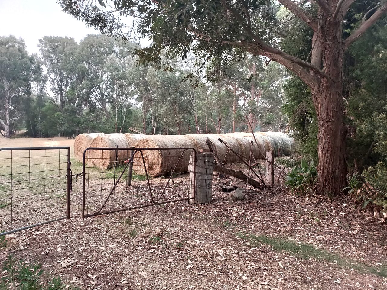 Fantastic Secluded Tiny House with Fire Pit in Milawa, Victoria