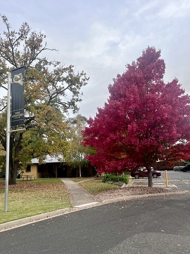 Tiny Houses (Australia, Milawa, Victoria)
