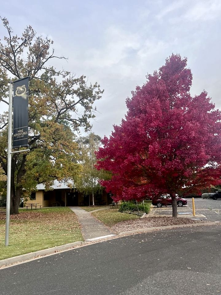 Fantastic Secluded Tiny House with Fire Pit in Milawa, Victoria