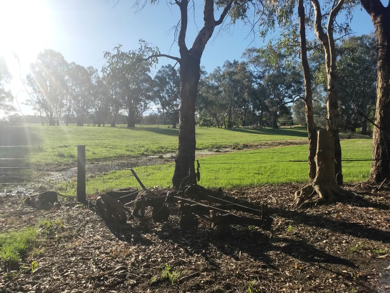 Fantastic Secluded Tiny House with Fire Pit in Milawa, Victoria