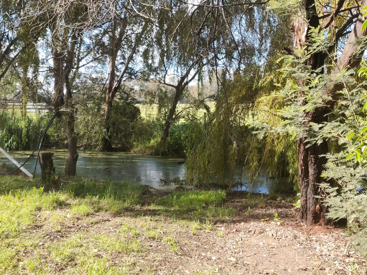 Fantastic Secluded Tiny House with Fire Pit in Milawa, Victoria