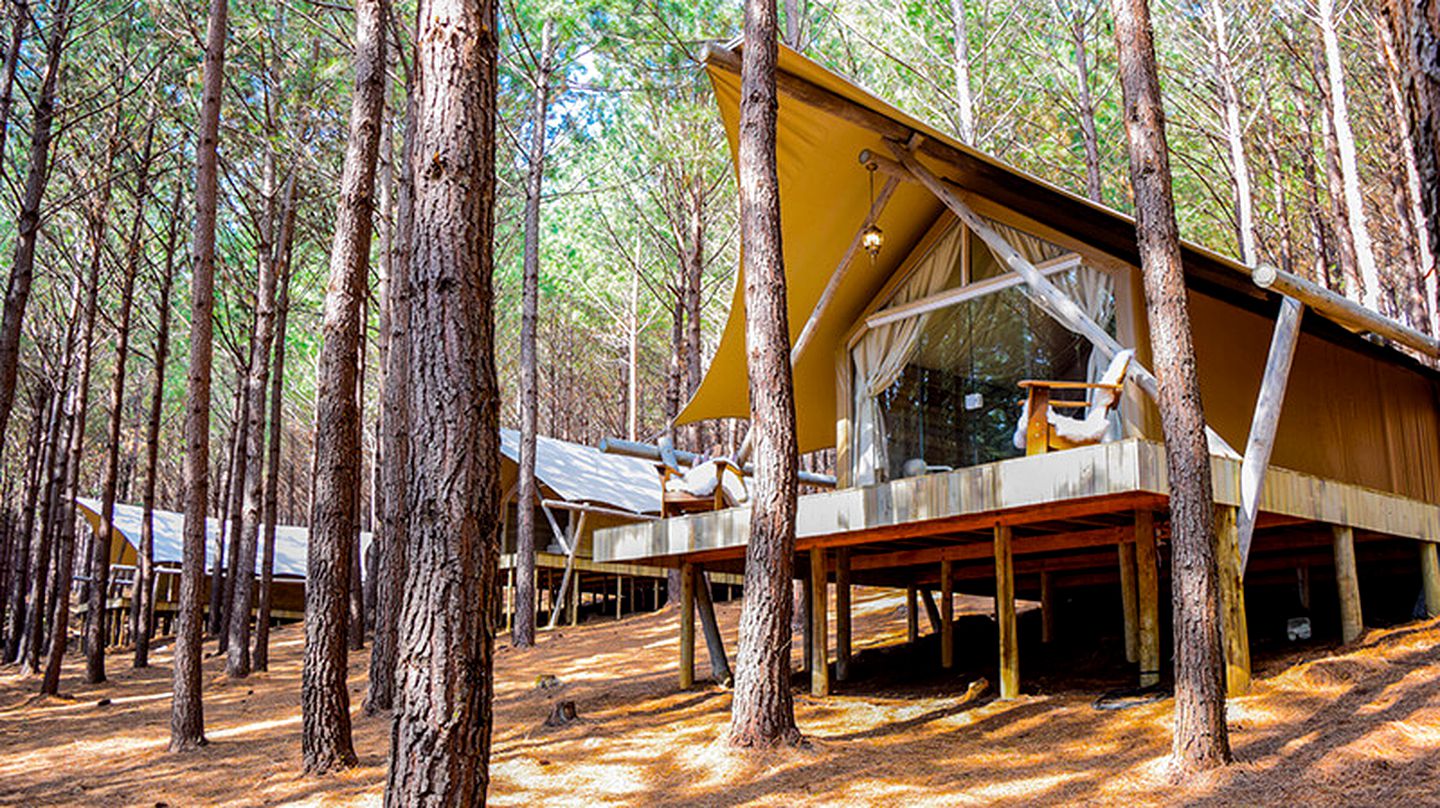 Gorgeous Safari Tent Rentals for Action-Packed Vacation near Sao Francisco de Paula, Brazil