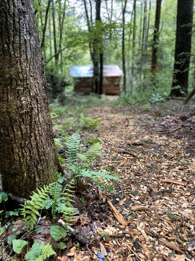 Cabins (United States of America, Zirconia, North Carolina)