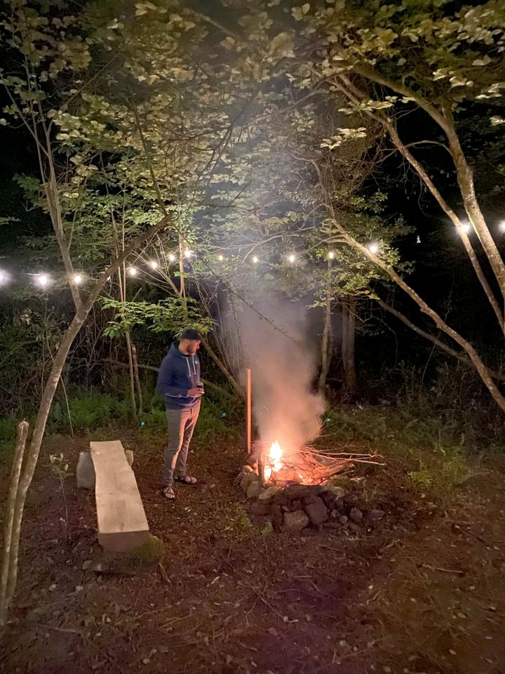 Secluded Woodland Cabin Near Waterfalls and Forest Trails in Zirconia, North Carolina