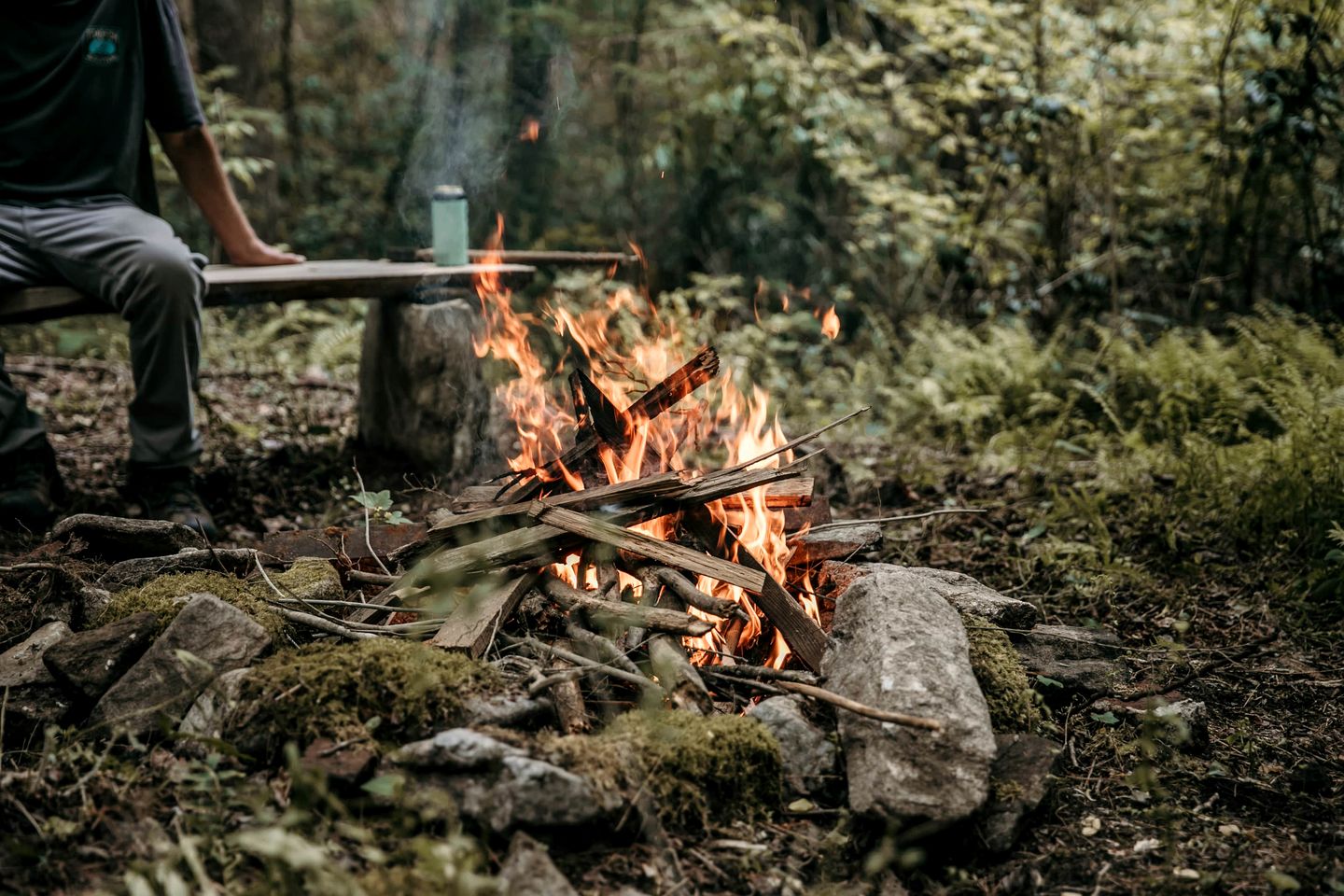 Secluded Woodland Cabin Near Waterfalls and Forest Trails in Zirconia, North Carolina