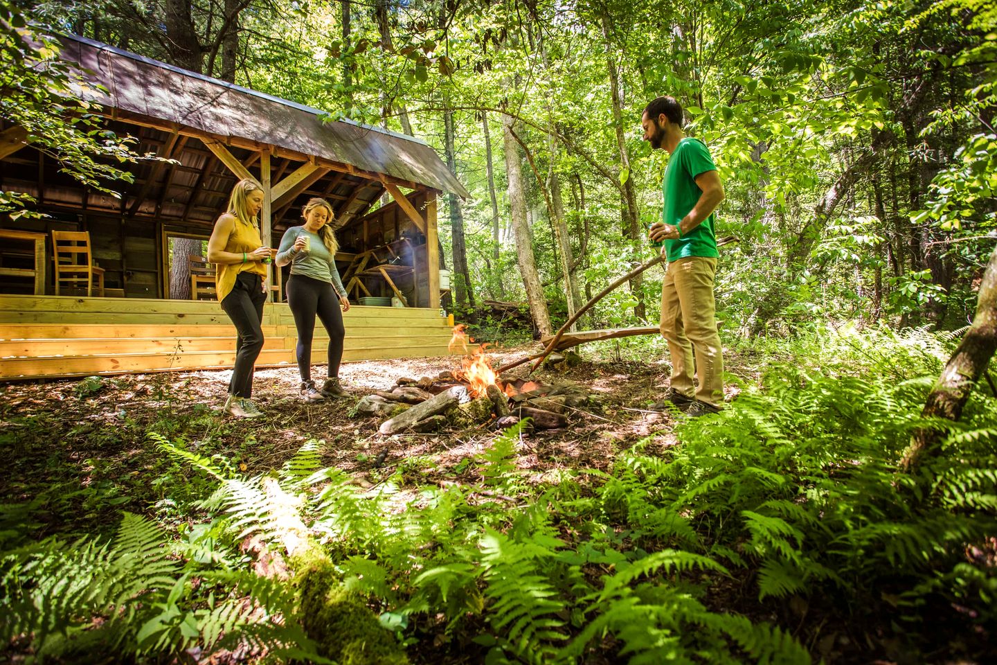 Secluded Woodland Cabin Near Waterfalls and Forest Trails in Zirconia, North Carolina