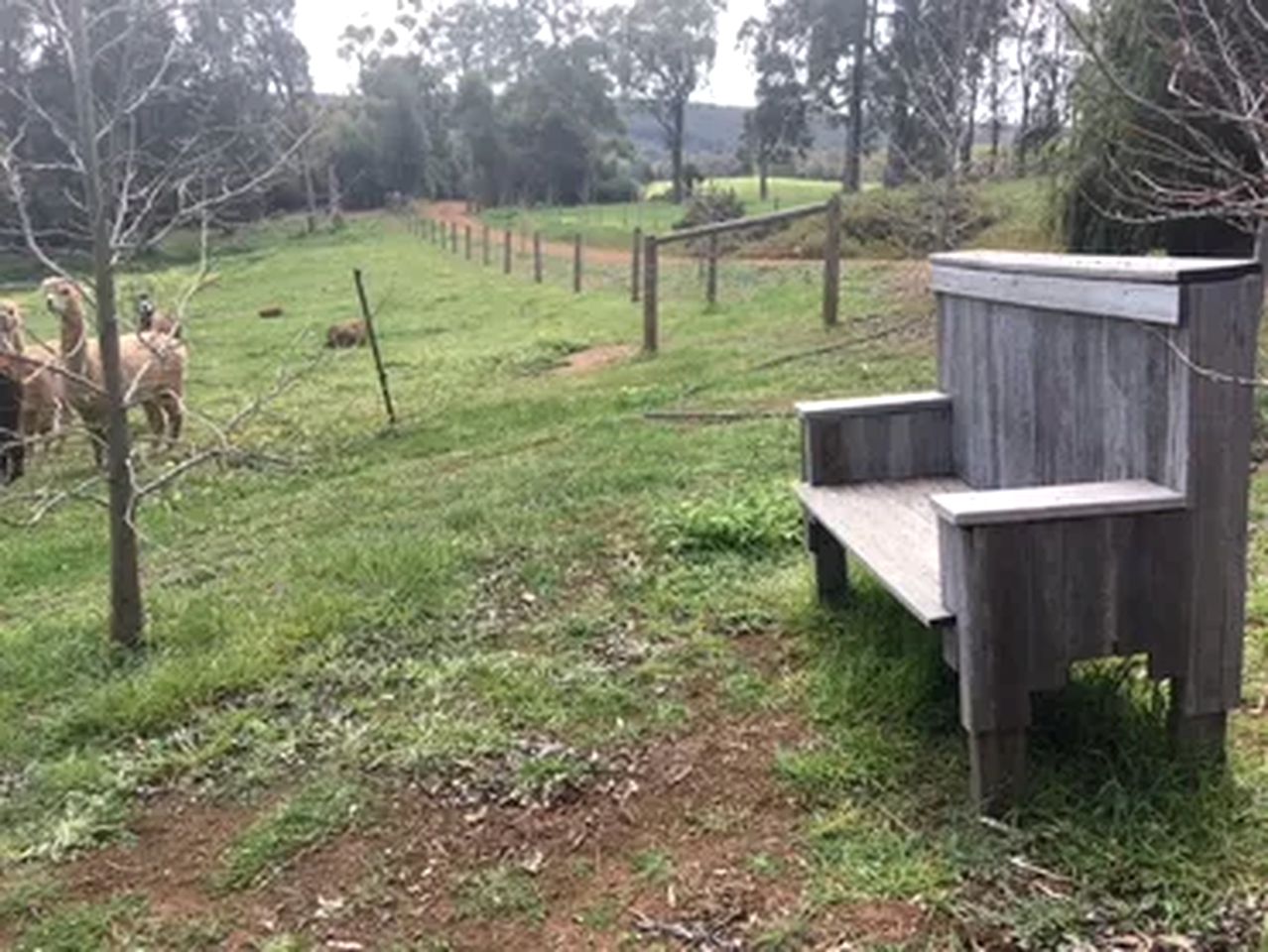 Remote Cottage on a Gorgeous Orchard Farm in Balingup, Western Australia