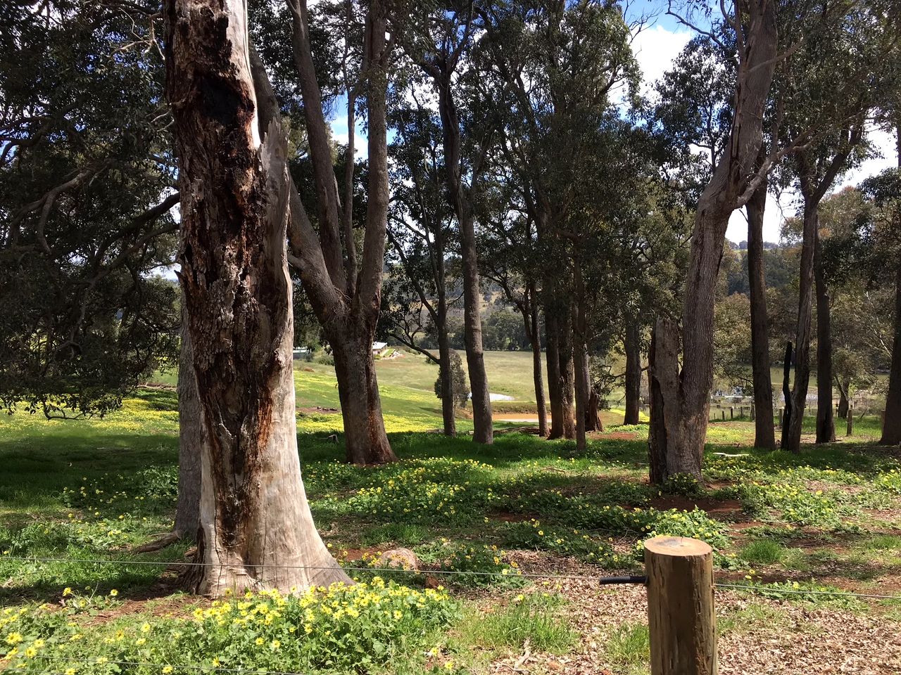 Remote Cottage on a Gorgeous Orchard Farm in Balingup, Western Australia