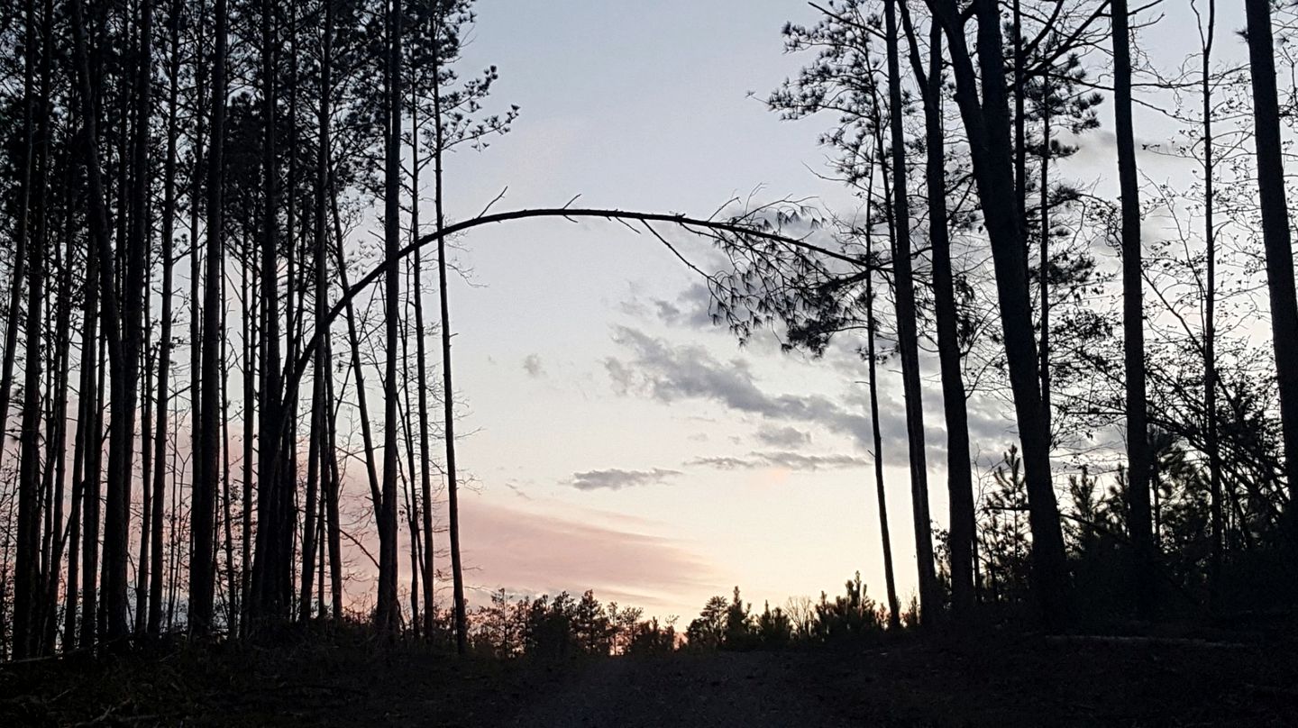 Relaxing Bed and Breakfast Retreat for Two near Richmond, Virginia