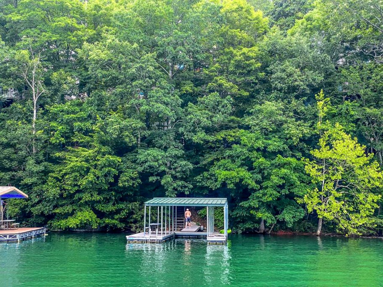 Majestic Waterfront Tennessee Cabin with a Hot Tub at Norris Lake
