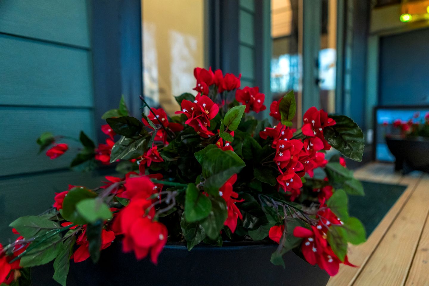 Scenic Bluffside Tiny Home Retreat with Kid-Friendly Loft near South Cumberland in Monteagle, Tennessee