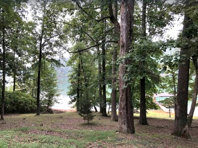 Cabins (United States of America, Caryville, Tennessee)