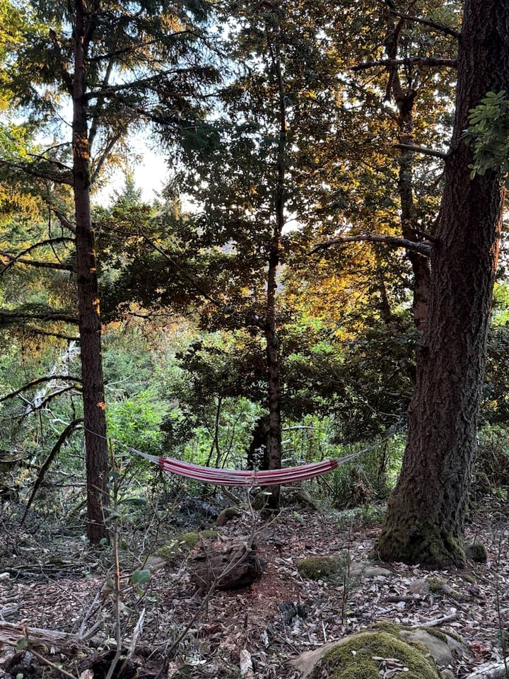 Incredible Safari Tent with Breathtaking Views in Kings Mounatin, California