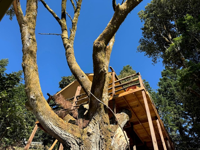 Gorgeous Safari Tent with Incredible Views in Kings Mountain, California
