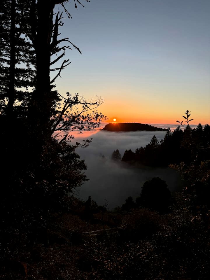 Gorgeous Safari Tent with Incredible Views in Kings Mountain, California