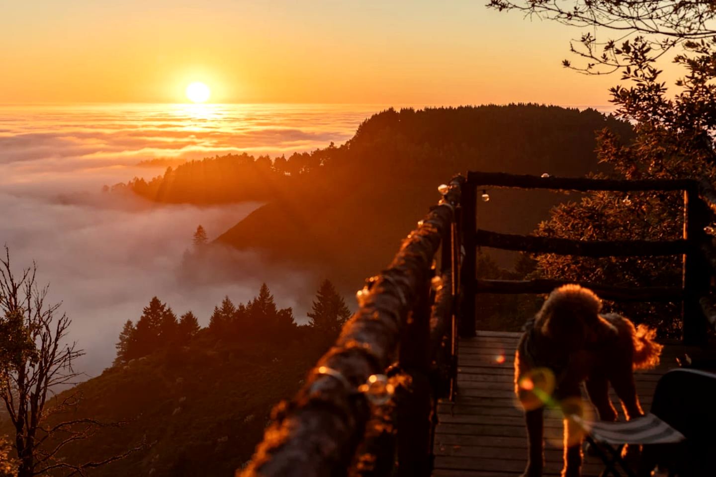 Gorgeous Safari Tent with Incredible Views in Kings Mountain, California