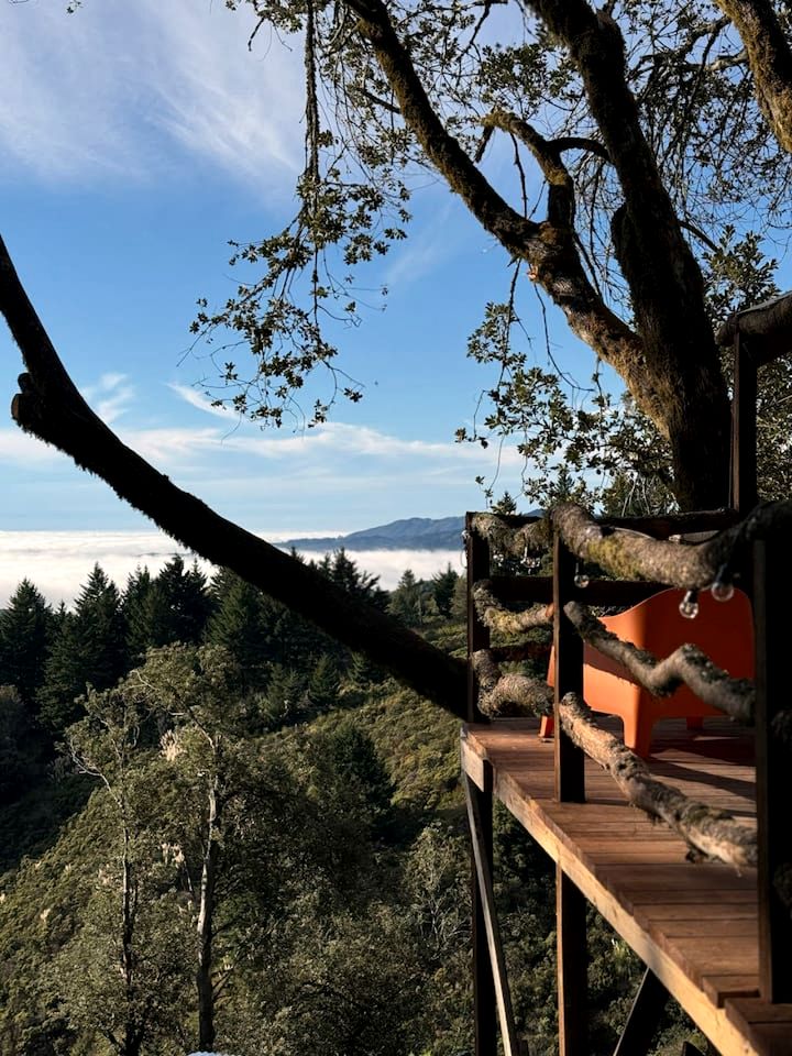 Gorgeous Safari Tent with Incredible Views in Kings Mountain, California