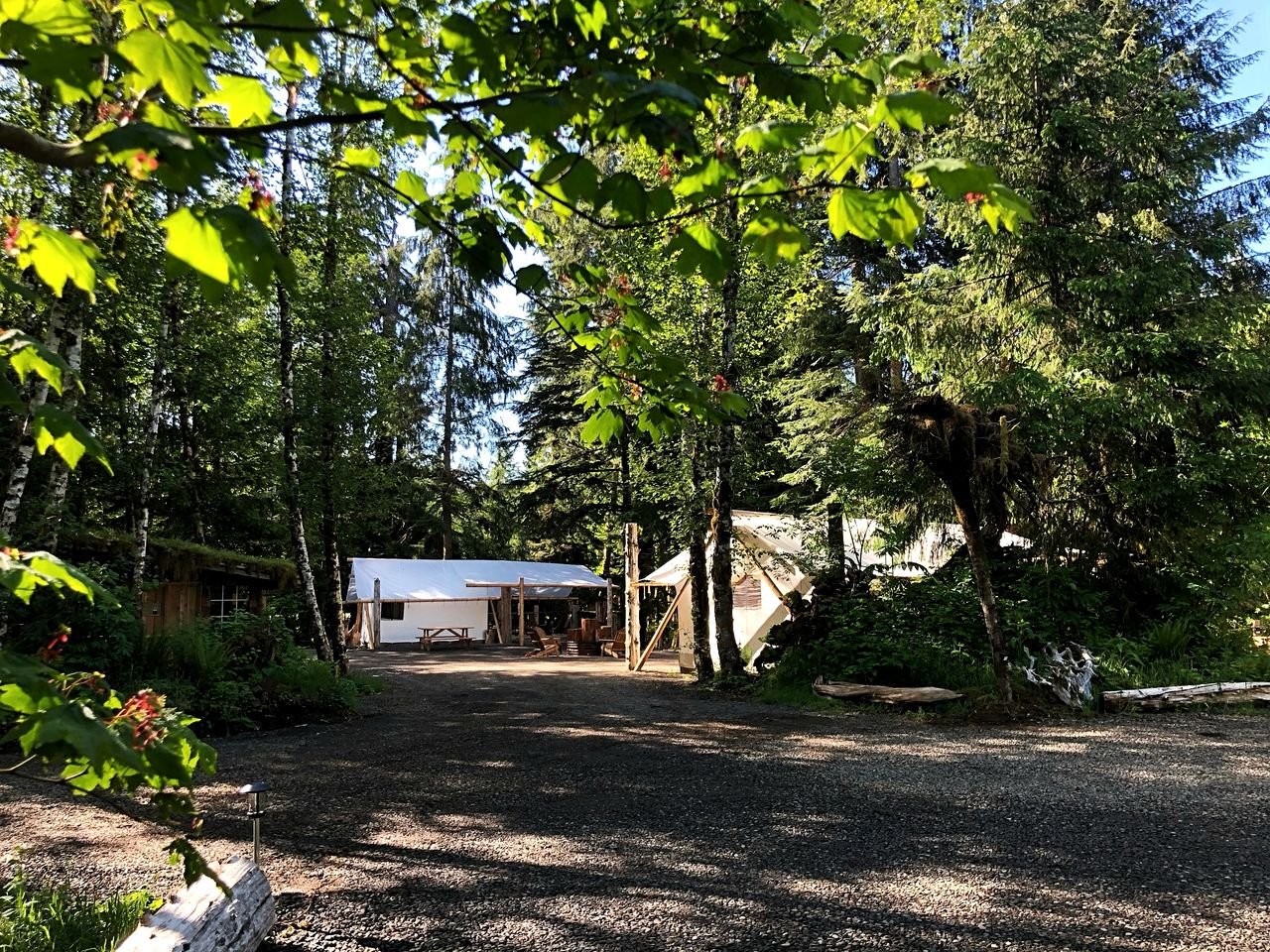 Pet-Friendly Safari Tent in Forks, near The Butchart Gardens, Perfect for a Weekend to Disconnect