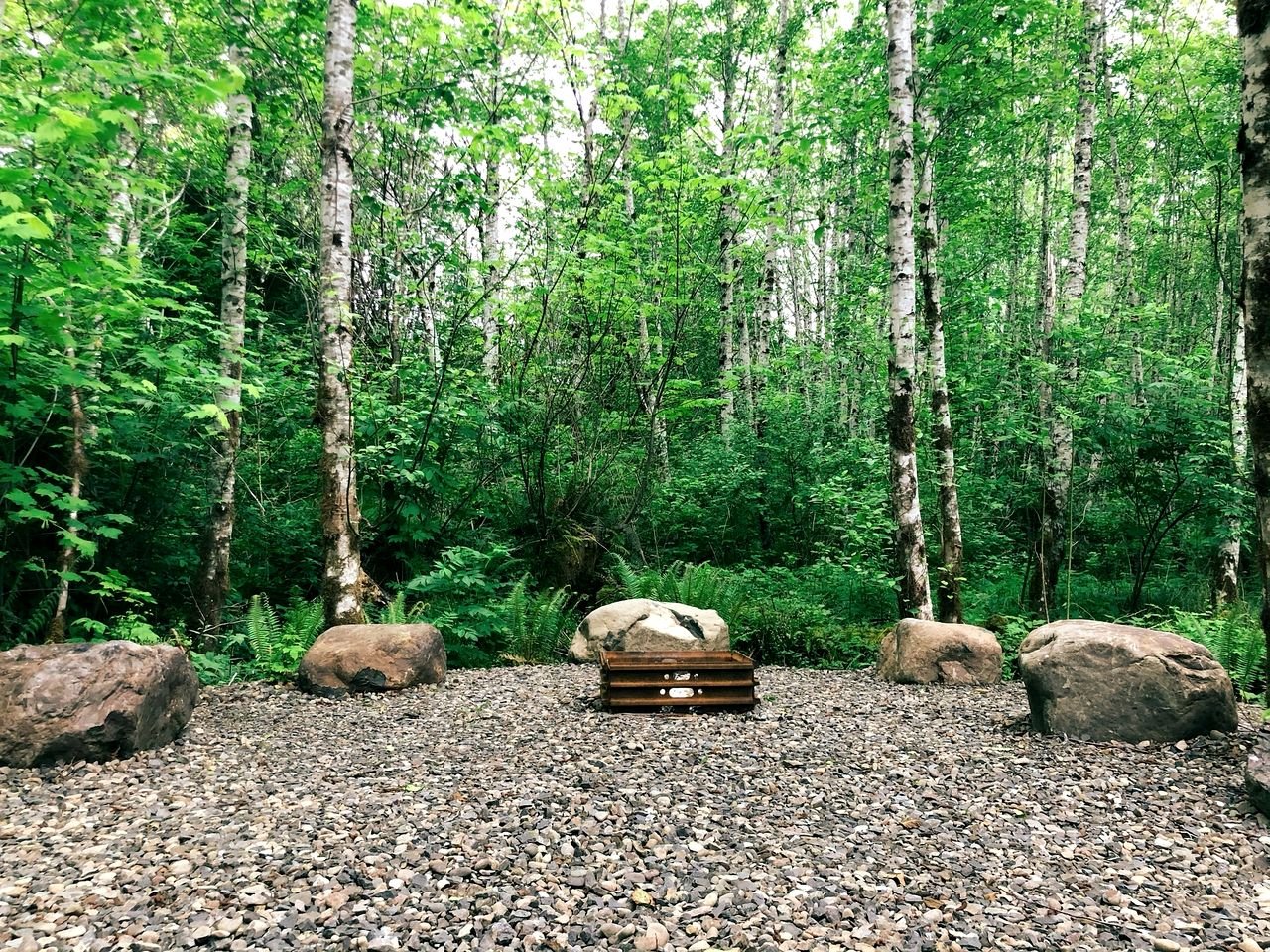 Romantic Safari Tent in Forks, Washington, Perfect for a Relaxing Weekend Getaway to Ruby Beach, WA