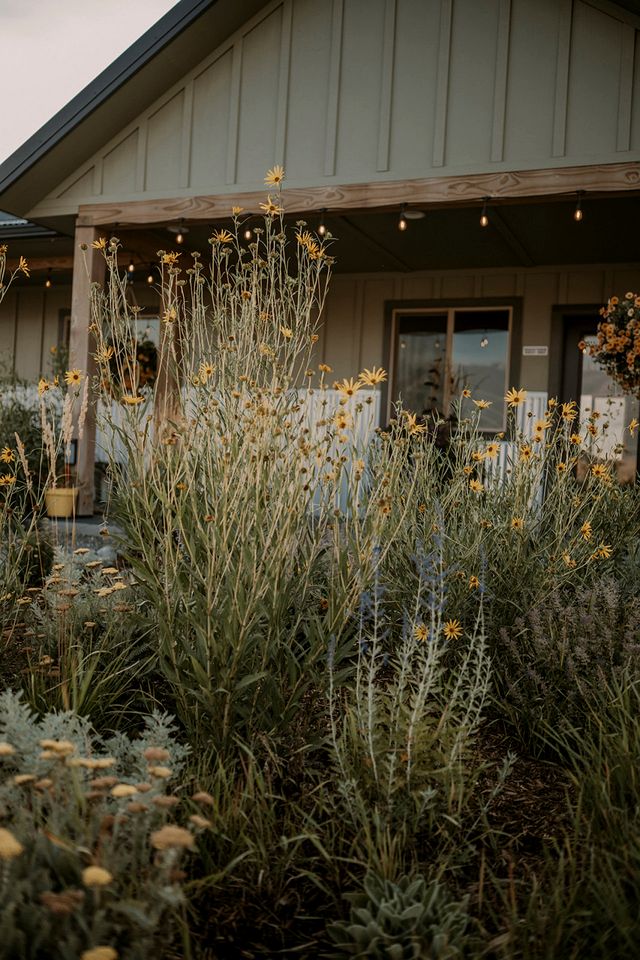 Stunning Safari Tent for Two near Yellowstone for a Memorable Glamping Escape in Emigrant, Montana