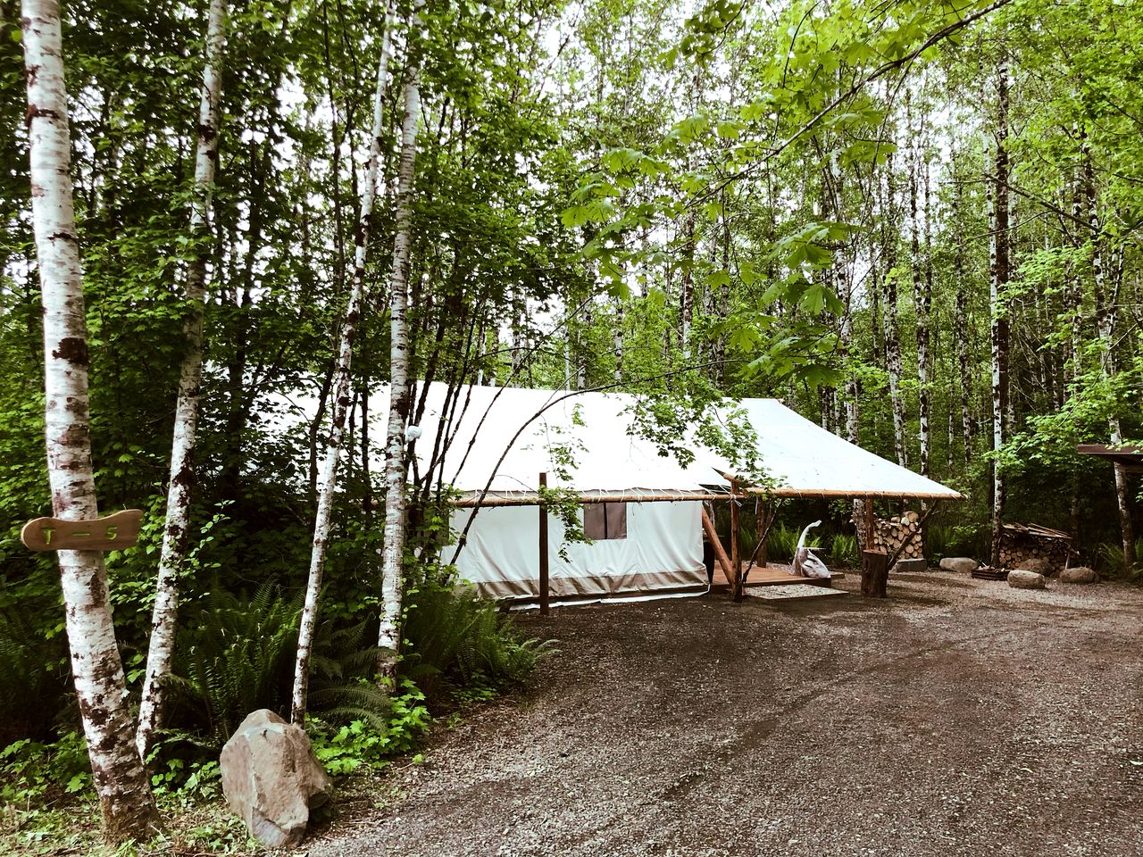 Large and Spacious Safari Tent on a Forks Glamping Resort, Perfect for an Escape to Olympic National Park
