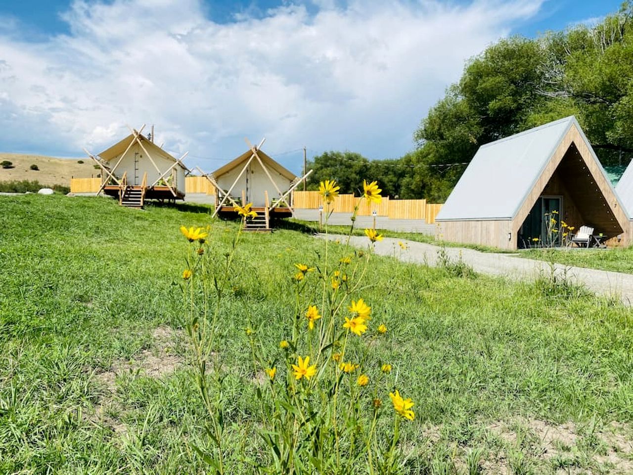 Amazing Safari Boutique Camping