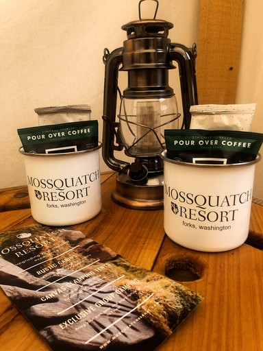 Vacation Rentals (United States of America, Forks, Washington)