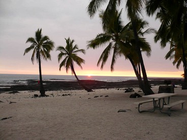 Romantic Cottage for Couples in the Heart of Nature at Yoga Retreat in Captain Cook photo 3
