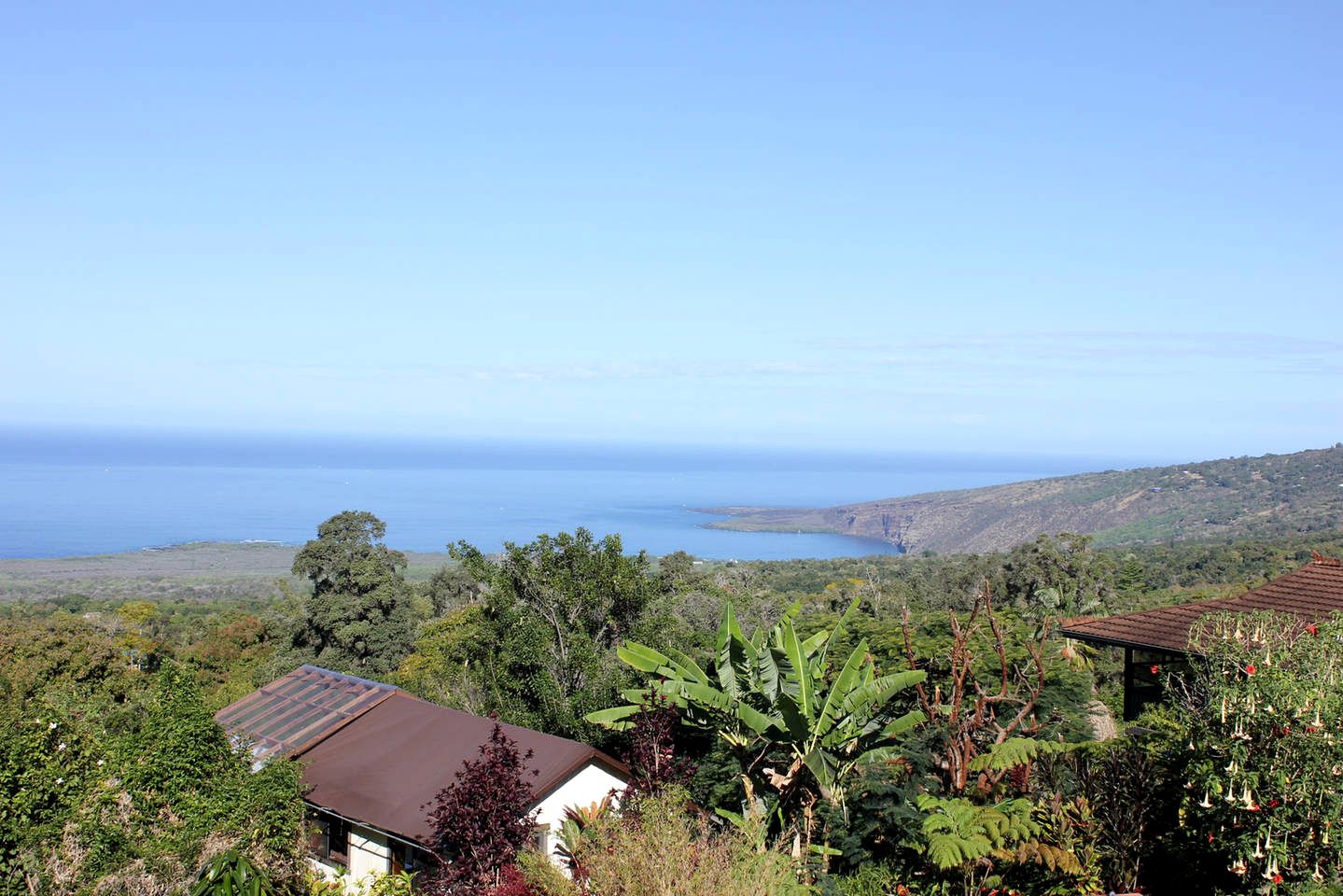 Romantic Cottage for Couples in the Heart of Nature at Yoga Retreat in Captain Cook