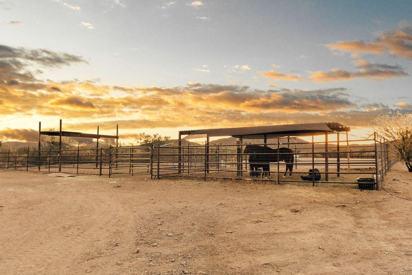 Exclusive Luxury Glamping Retreat on Historic Ranch near Saguaro National Park, Arizona