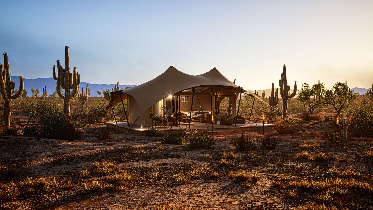 Exclusive Luxury Glamping Retreat on Historic Ranch near Saguaro National Park, Arizona