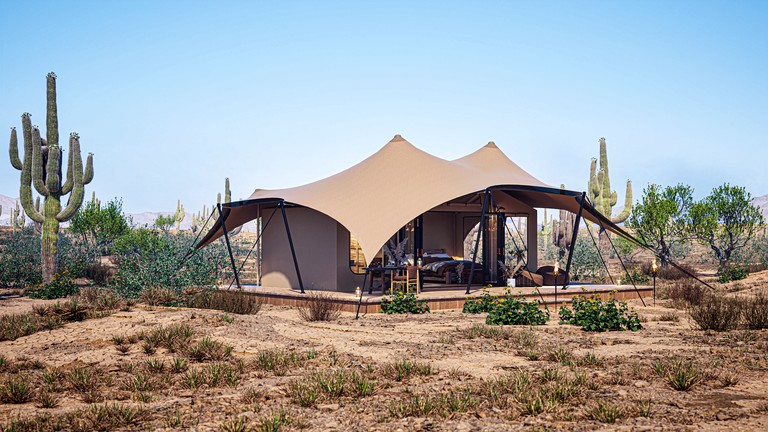 Tented Cabins (United States of America, --, --)