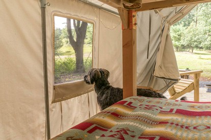 Pet Friendly Cabins New England