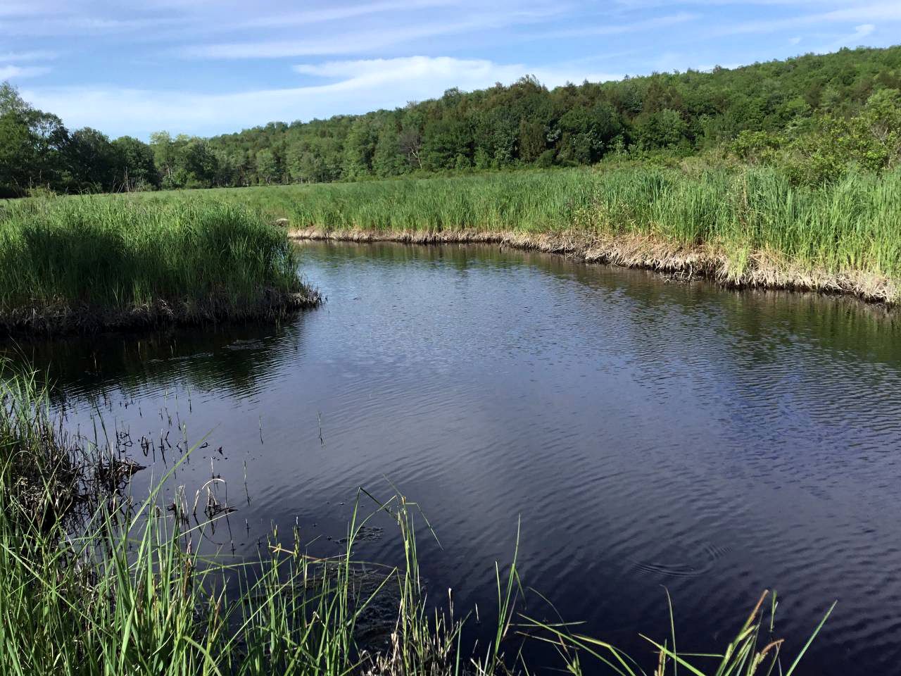Camping Tent in Sand Lake, New York