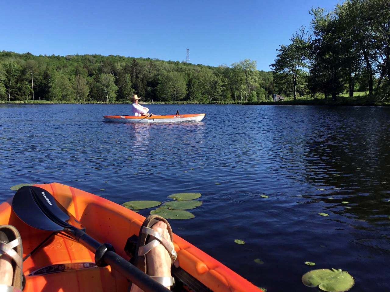 Camping Tent in Sand Lake, New York