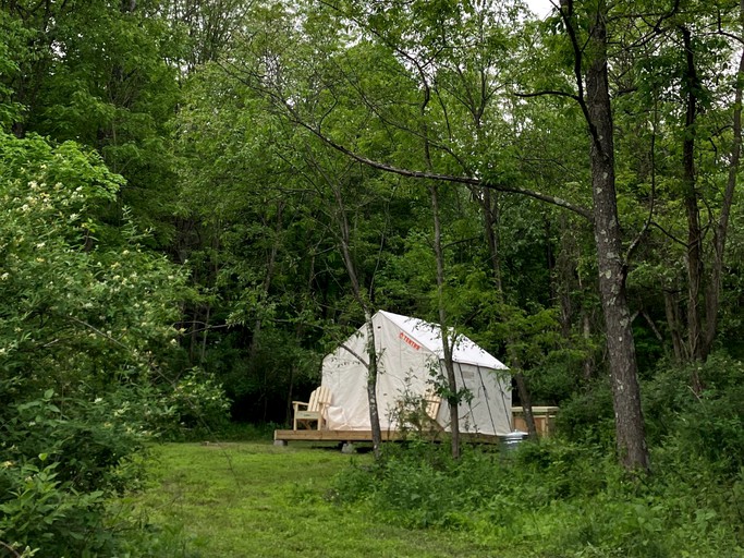 Secluded Tented Cabin 