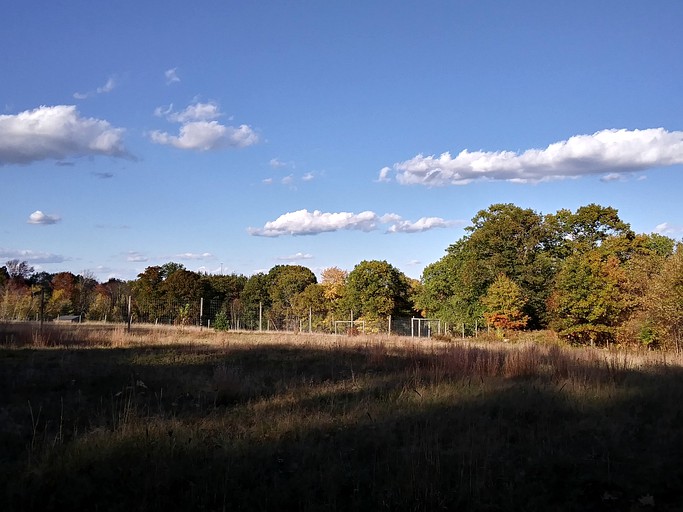 RU Tentrr Signature Site Deerwander Camp A, Tented Cabins, Hollis