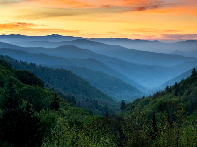 Pet Friendly Glamping Site Outside of Asheville, North Carolina