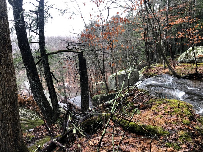 Tentrr Signature Site Mini Yosemite in the Hudson Valley, Tented