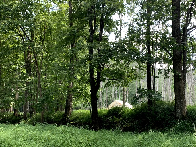 Tentrr Signature Site Mini Yosemite in the Hudson Valley, Tented