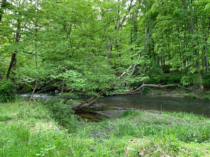 Tentrr Signature Site Mini Yosemite in the Hudson Valley, Tented