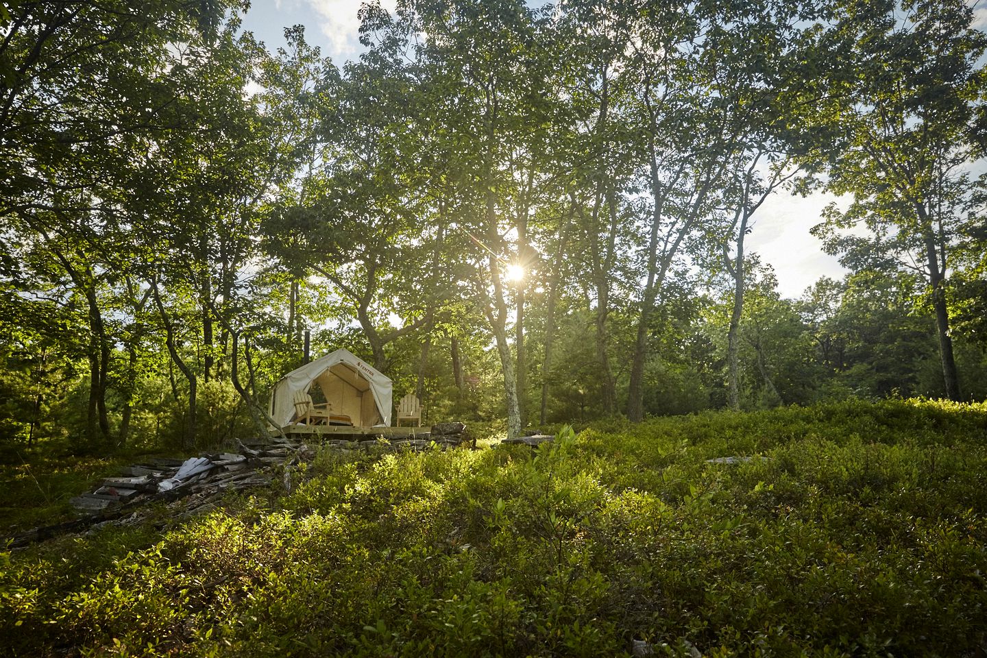 New York Camping Glamping Hub
