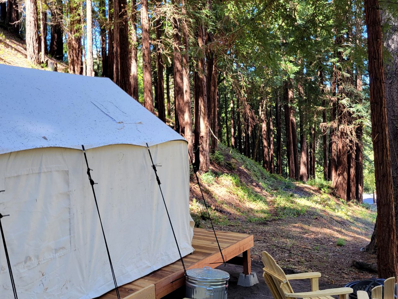 RU Tentrr Signature Site Redwood Grove A, Tented Cabins, Scotts