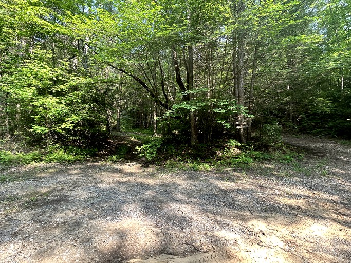 RUTentrr Signature Site Terry's Island, Tented Cabins, SoddyDaisy