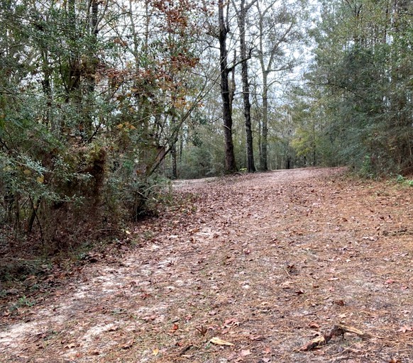 RU Tentrr Signature Site Waterfront, Tented Cabins, Poplarville